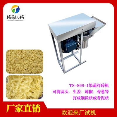 廚房設備 小型立式蒜蓉打泥機 電動馬蹄攪碎機 玉米打漿機 不銹鋼