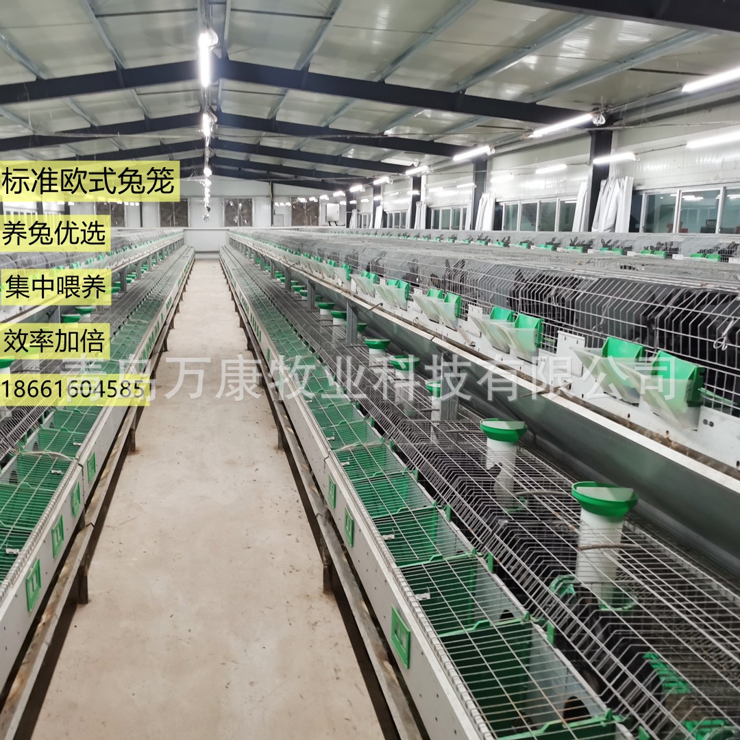 養兔子的設備兔籠 兔舍歐式雙層籠具繁育一體籠