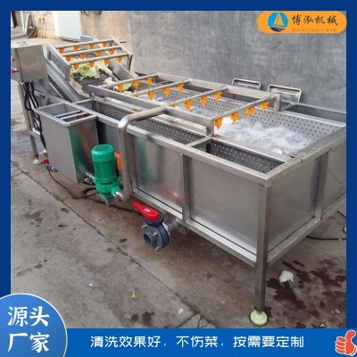 多功能不銹鋼氣泡清洗機 果蔬清洗設備 白菜胡蘿卜高壓噴淋清洗機