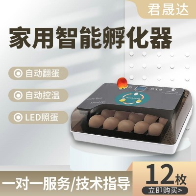 12枚小型家用孵化器小雞苗孵化箱 雞蛋孵化機家禽孵化養(yǎng)殖設(shè)備