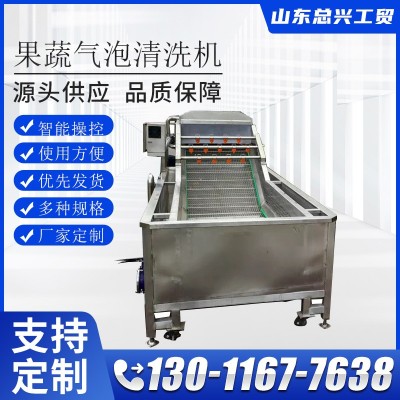水果全自動氣泡果蔬沖浪機 雞爪整雞清洗設備不銹鋼渦流清洗機