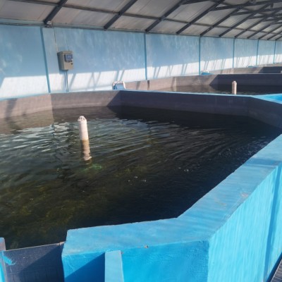 曝氣增氧系統水產養殖系統設備室內育苗養殖設備水產增氧曝氣