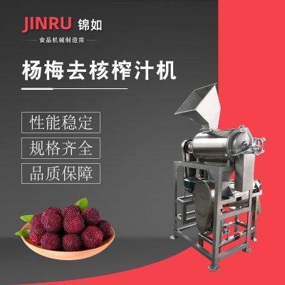 楊梅去核螺旋榨汁機組 水果榨汁飲料設備