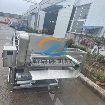 果蔬清洗機 嘉德直供預制菜清洗設備 噴淋式氣泡清洗流水線