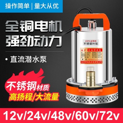 農(nóng)用家用12V24V48v60v直流泵車船電動排污潛水泵大流量便捷抽水機