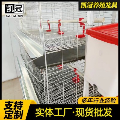 立體育雛雞籠四層小雞籠子小面積雞舍養(yǎng)殖設備加粗加密育雛飼養(yǎng)籠