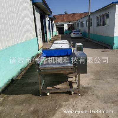 速食下飯菜自動滅菌機 腌筍酸菜連續殺菌設備 開胃菜殺菌機偉澤