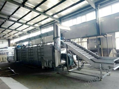 大棗,花生,辣椒,花椒,蘑菇烘干機