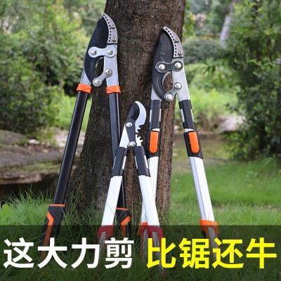 跨境外貿(mào)粗枝剪大力剪伸縮果樹修枝剪加長(zhǎng)SK5園林剪刀強(qiáng)力樹枝剪