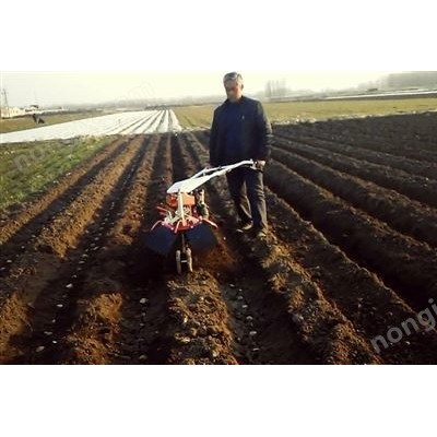 土豆開溝起壟機