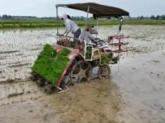 農機“加速跑” 田野“煥新顏”
