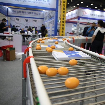 新型全自助階梯式四層蛋雞籠熱鍍鋅層疊式智能蛋雞籠養設備定制