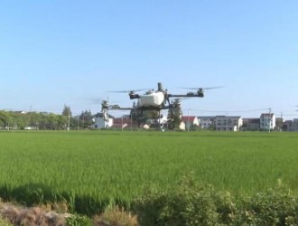 避高溫?fù)屴r(nóng)時(shí)！無人機(jī)植保筑起水稻“防護(hù)網(wǎng)”