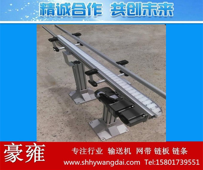 制作肉類食品傳送線 柔性輸送線 吹塑全自動化生產線 網鏈輸送機