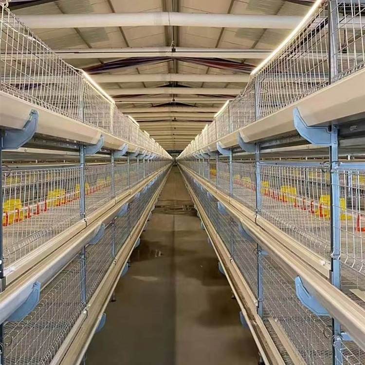 肉雞籠養(yǎng)設(shè)備全自動肉雞籠養(yǎng)雞設(shè)備 養(yǎng)殖場可用管理方便