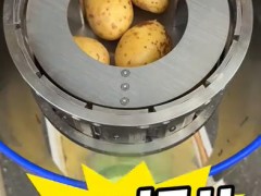 離心式刨絲機(jī)，瞬切土豆片，每小時(shí)可加工3000kg#食品機(jī)械設(shè)備